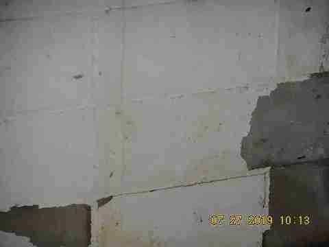 16737 Dolphin (36)_m.jpg